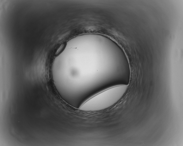 X0000099461205200805090740