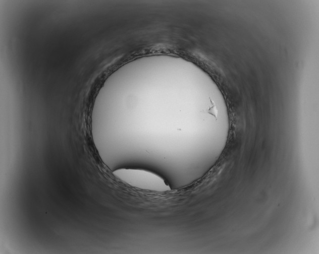 X0000099461207200805090740