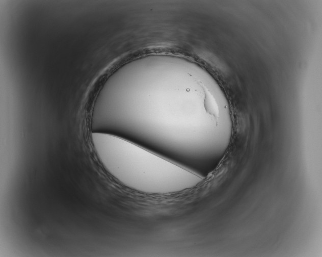 X0000099461208200805090740