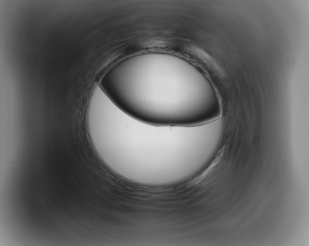 X0000099461209200805090740
