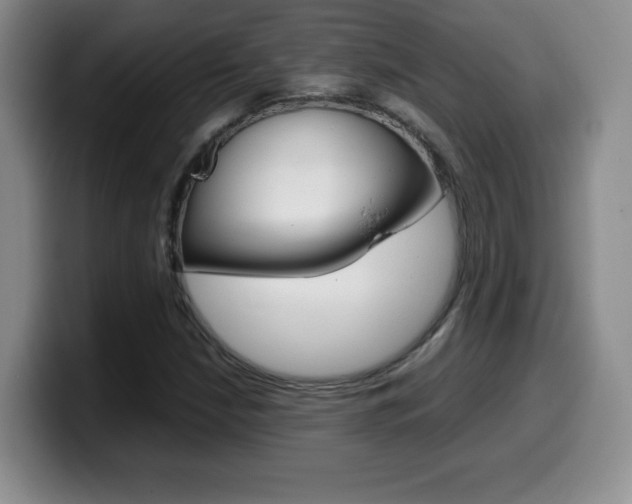 X0000099461210200805090740