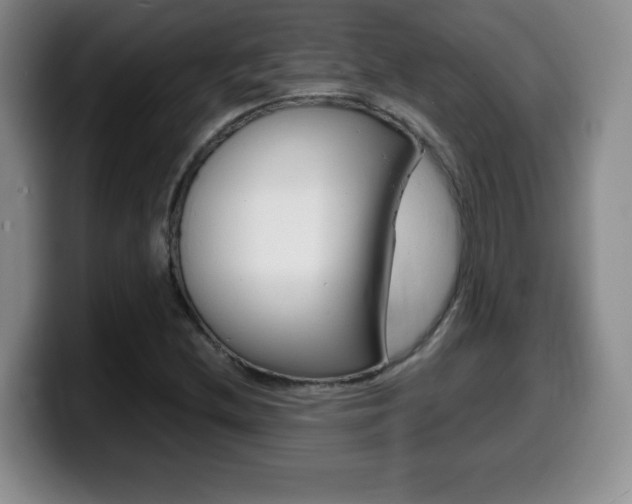 X0000099461212200805090740