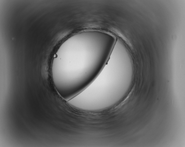 X0000099461213200805090740