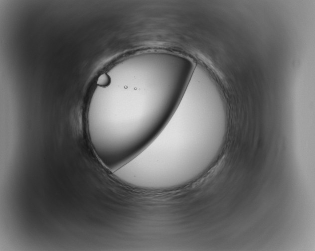 X0000099461214200805090740