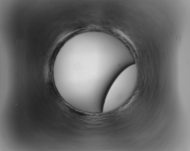 X0000099461215200805090741