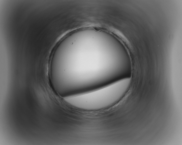 X0000099461220200805090741
