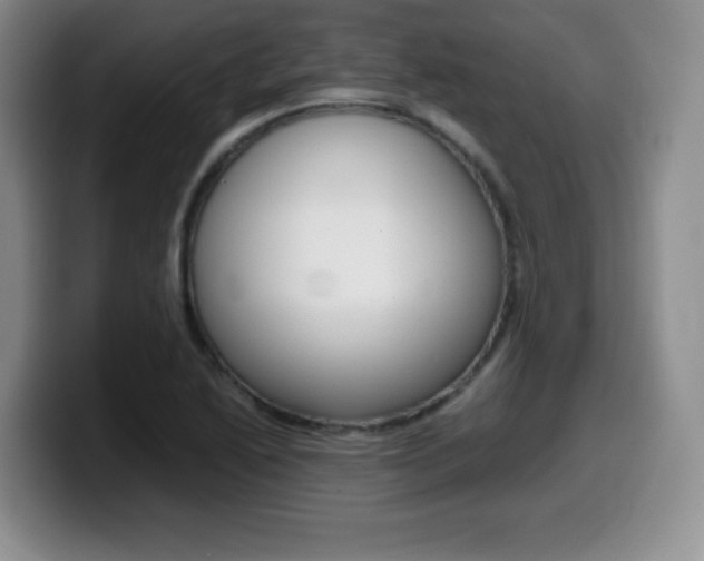 X0000099461222200805090741