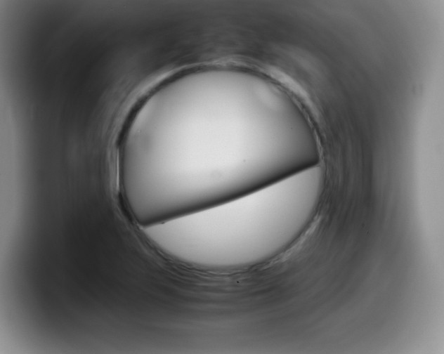 X0000099461223200805090741