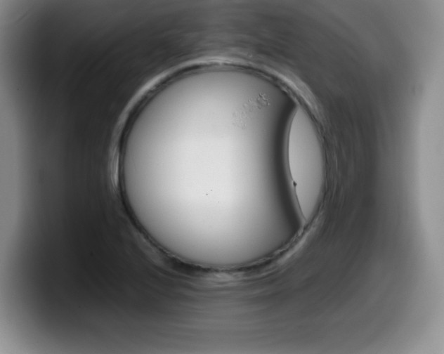 X0000099461224200805090741