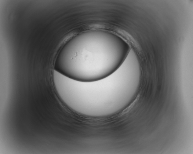 X0000099461225200805090741