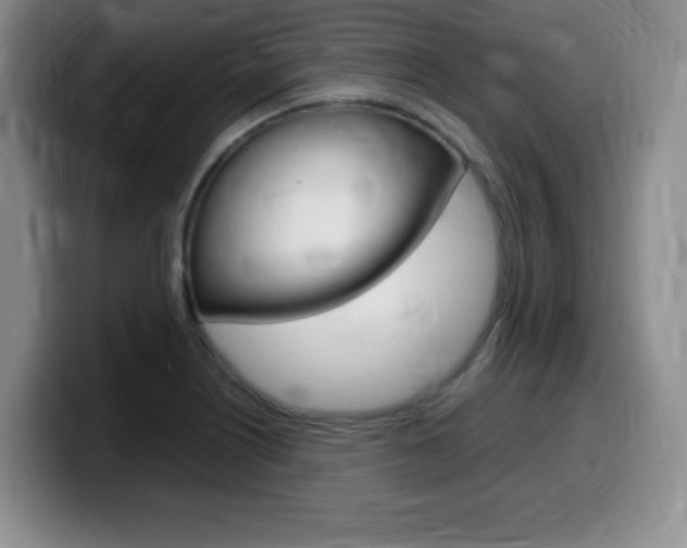 X0000099461226200805090741