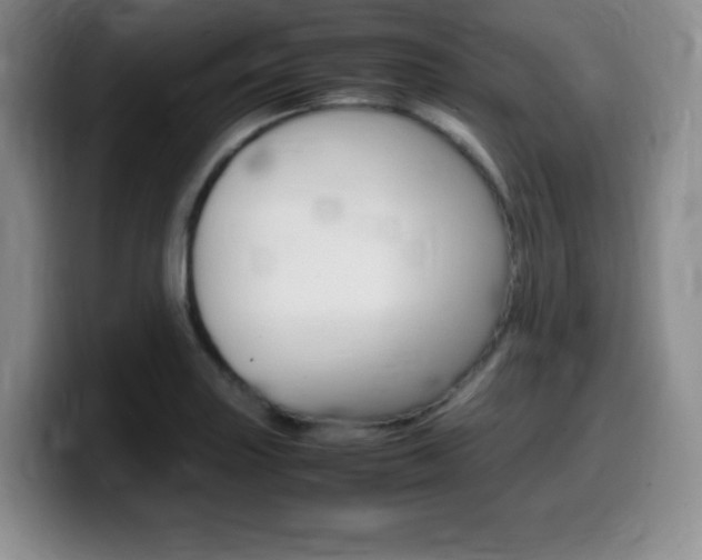 X0000099461227200805090741