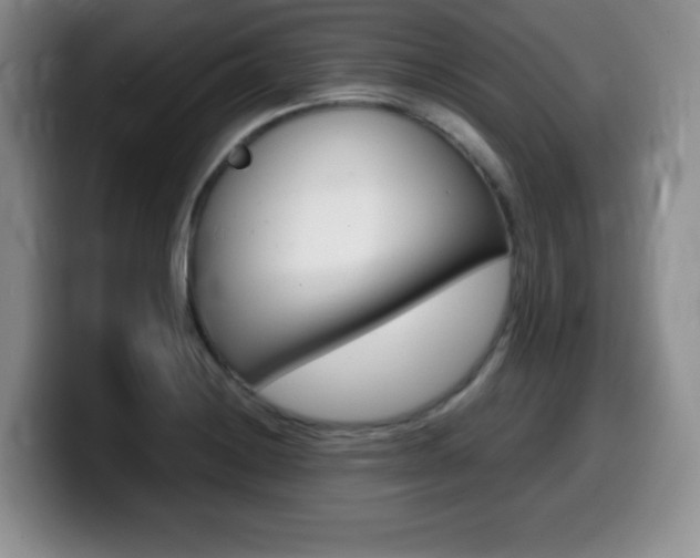 X0000099461228200805090741