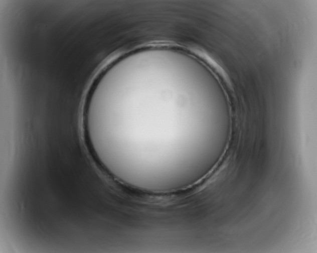 X0000099461229200805090741