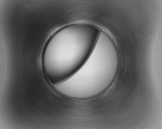 X0000099461230200805090741
