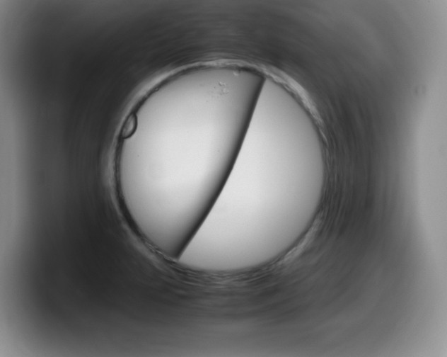 X0000099461231200805090741