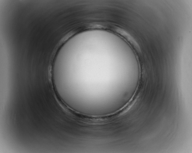 X0000099461233200805090741