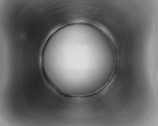 X0000099461234200805090741