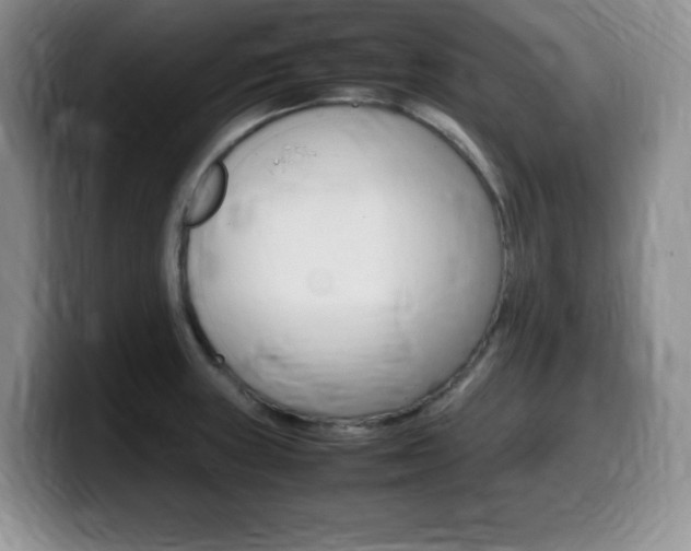 X0000099461235200805090741