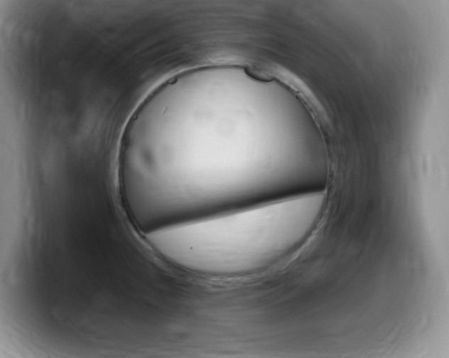 X0000099461236200805090741