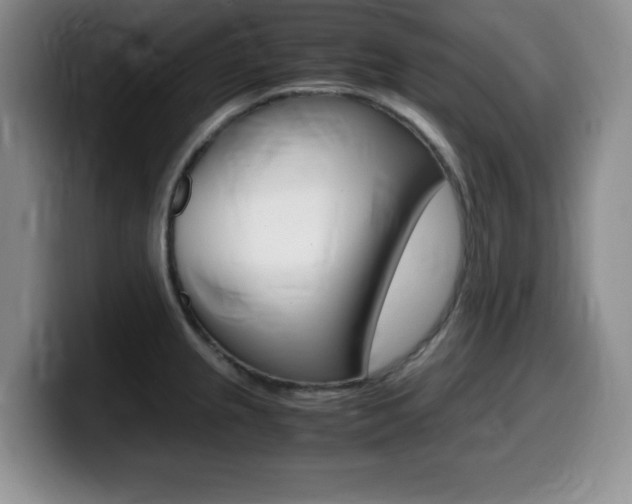 X0000099461237200805090741