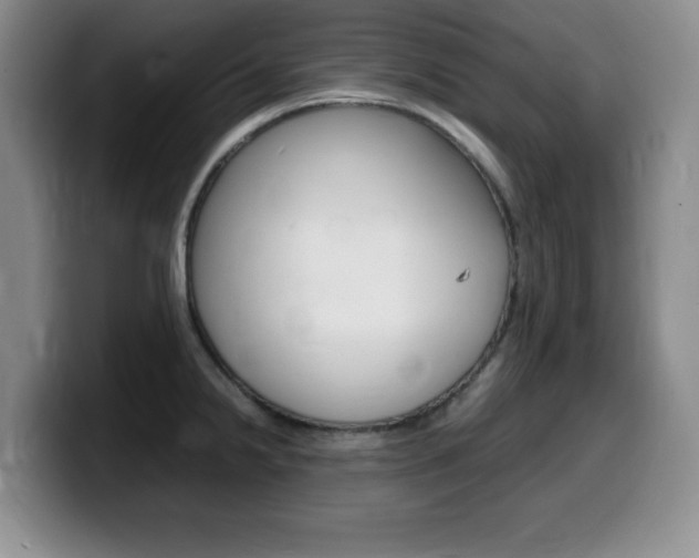 X0000099461238200805090741