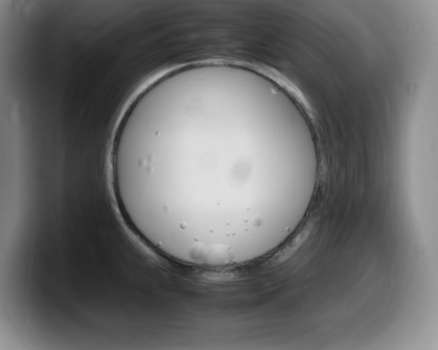 X0000099461239200805090741