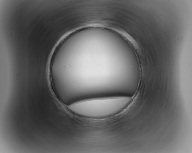 X0000099461240200805090741