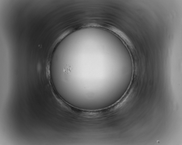 X0000099461241200805090741