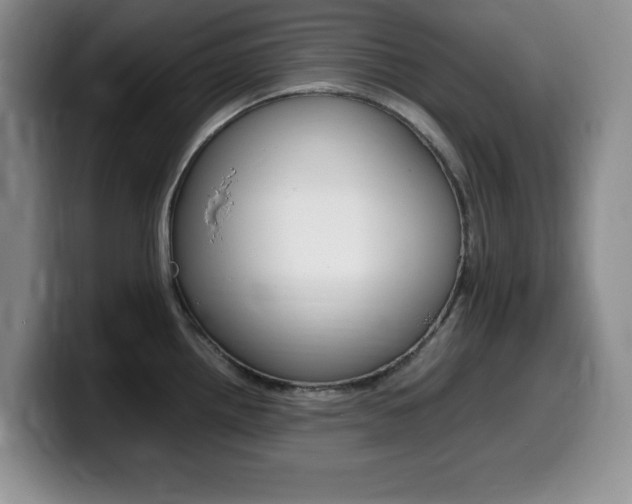 X0000099461242200805090741
