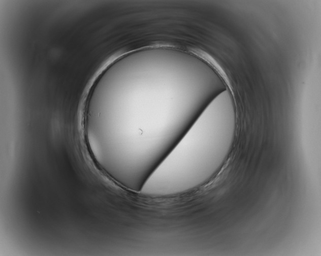 X0000099461243200805090741
