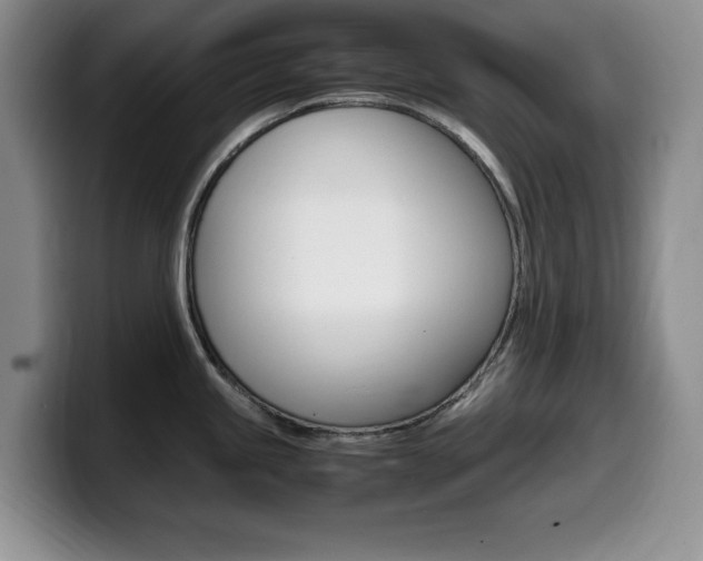 X0000099461245200805090741