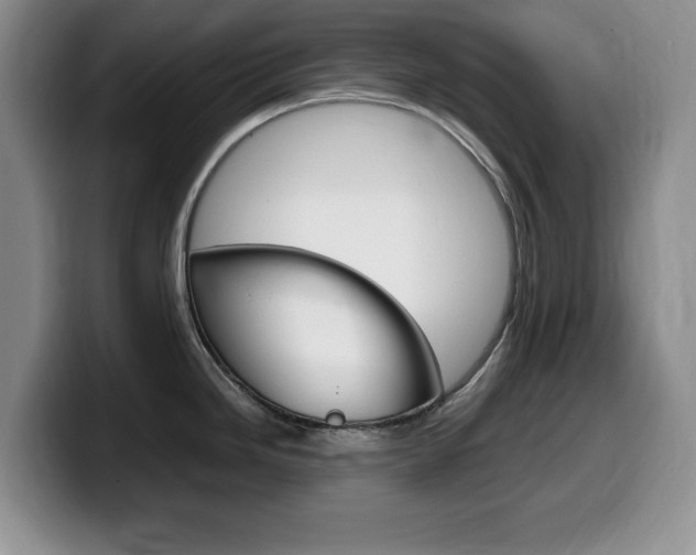 X0000099461246200805090741