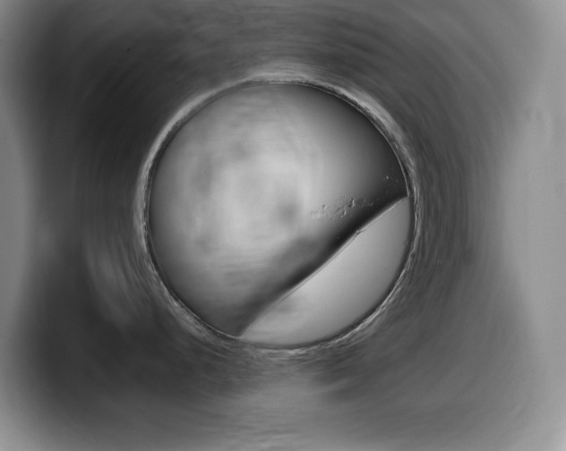 X0000099461248200805090741