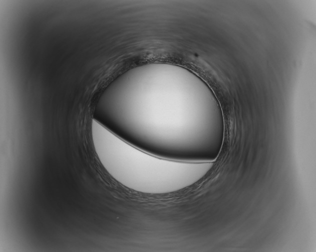 X0000099461250200805090740