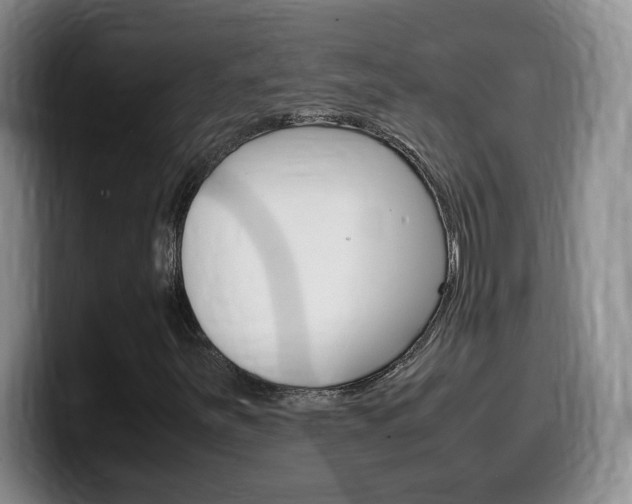 X0000099461251200805090740