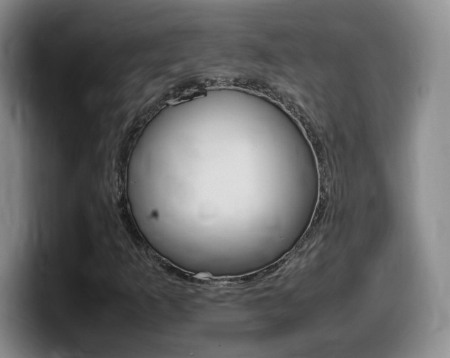 X0000099461253200805090740