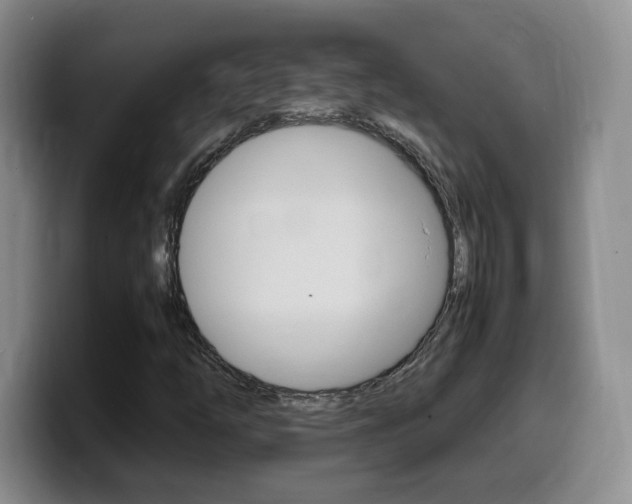 X0000099461254200805090740