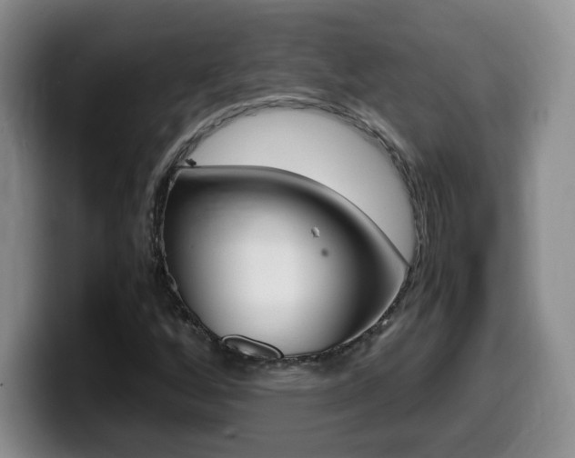 X0000099461256200805090740