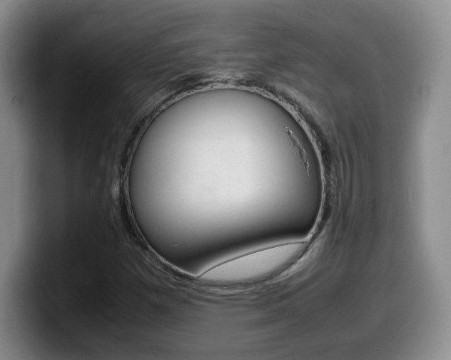 X0000099461257200805090740