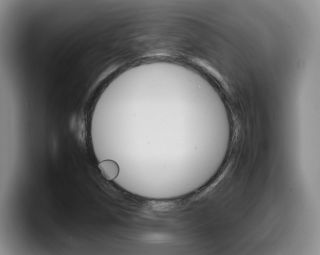 X0000099461258200805090740