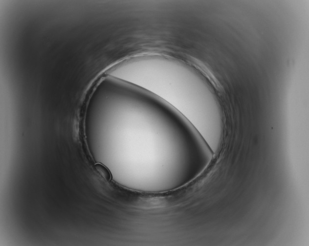 X0000099461260200805090740
