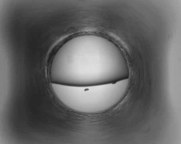 X0000099461262200805090740