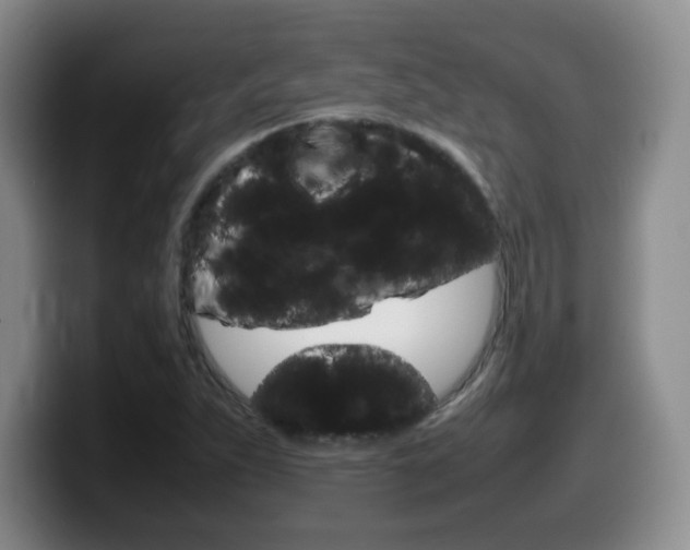 X0000099461263200805090740