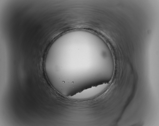 X0000099461265200805090740