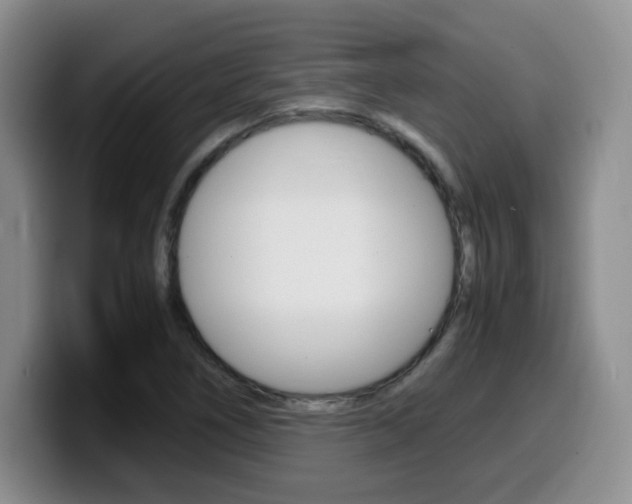 X0000099461266200805090740