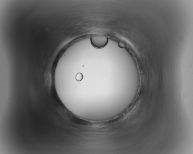 X0000099461267200805090740