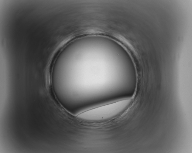 X0000099461269200805090740