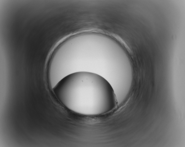 X0000099461270200805090740