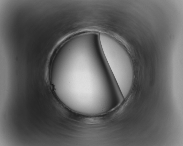 X0000099461272200805090740
